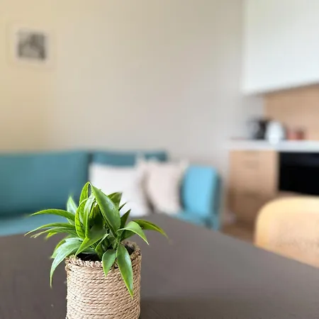 Legnicka 38 *